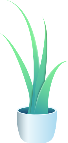 Skazy | Plante